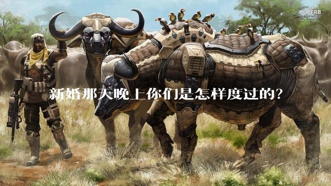 新婚那天晚上你们是怎样度过的？