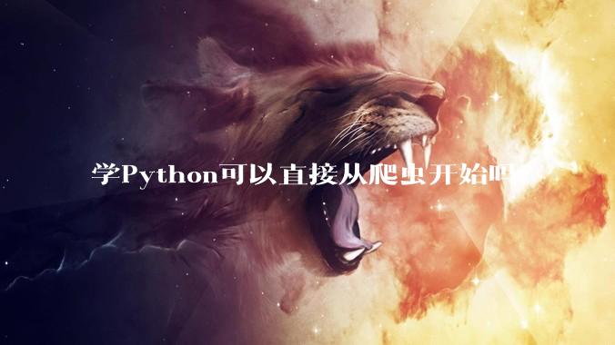 学Python可以直接从爬虫开始吗？