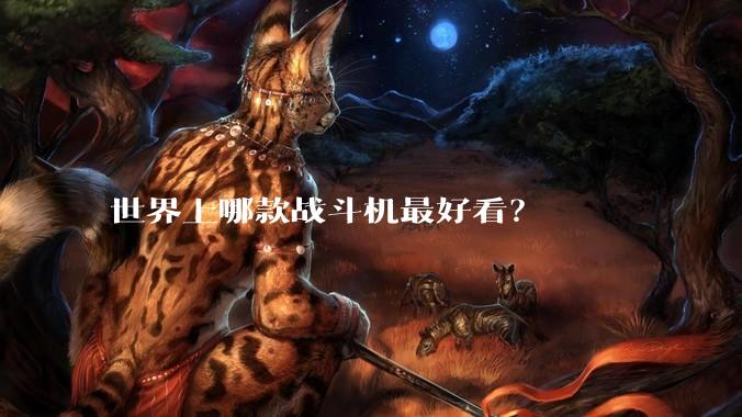 世界上哪款战斗机最好看？
