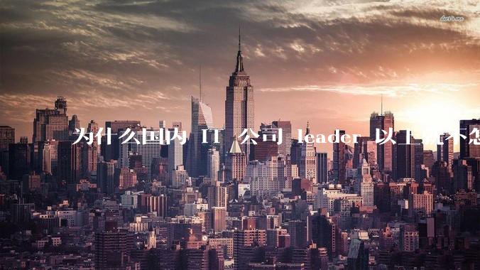 为什么国内 IT 公司 leader 以上就不怎么写代码，而据说 Google 的 Jeff Dean 还写代码？到底哪种情况好呢？