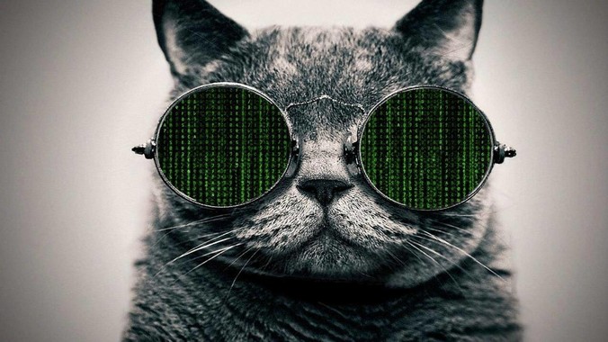 现在是2025年6月，现在的房价是阴跌还是暴跌？还会继续跌多久？是否已经开始分化?